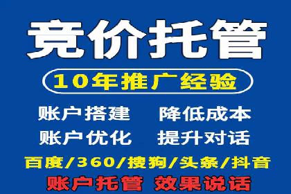 搜索引擎营销（SEM）优化全攻略：成功案例解析